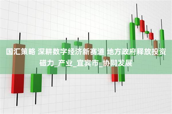 国汇策略 深耕数字经济新赛道 地方政府释放投资磁力_产业_宜宾市_协同发展