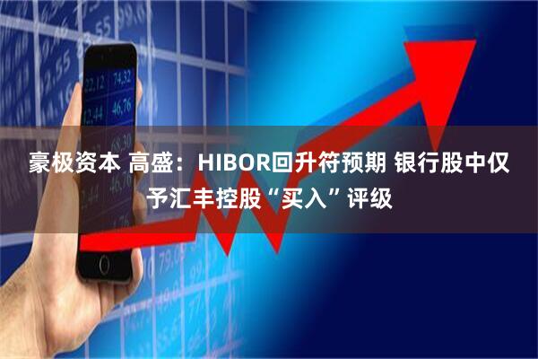 豪极资本 高盛：HIBOR回升符预期 银行股中仅予汇丰控股“买入”评级