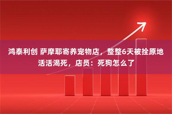 鸿泰利创 萨摩耶寄养宠物店，整整6天被拴原地活活渴死，店员：死狗怎么了