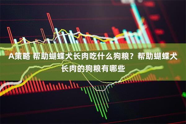 A策略 帮助蝴蝶犬长肉吃什么狗粮？帮助蝴蝶犬长肉的狗粮有哪些